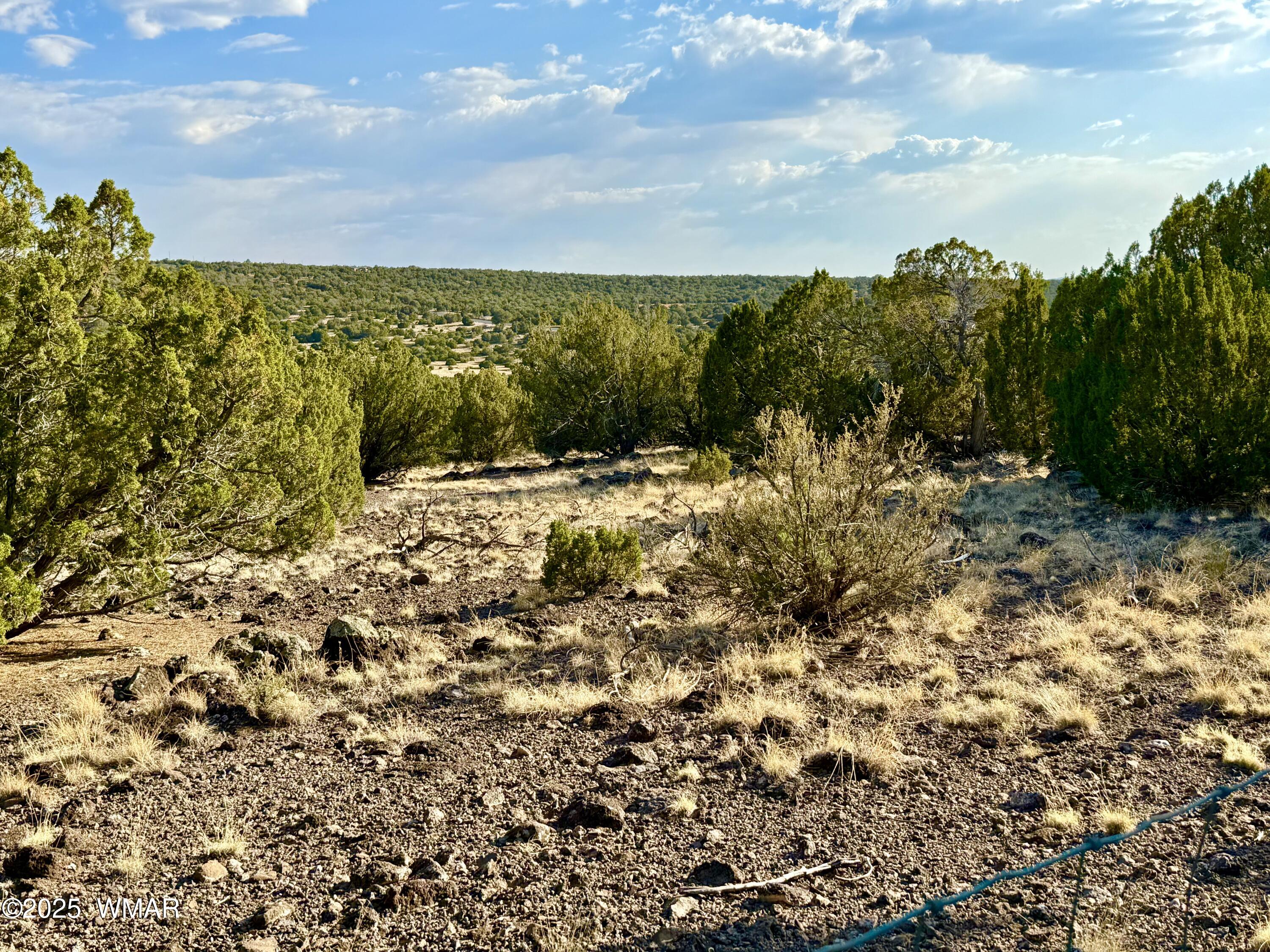 37 Co Road Concho, AZ 85924 - Photo 27 of 41 IMG_1032 (1)