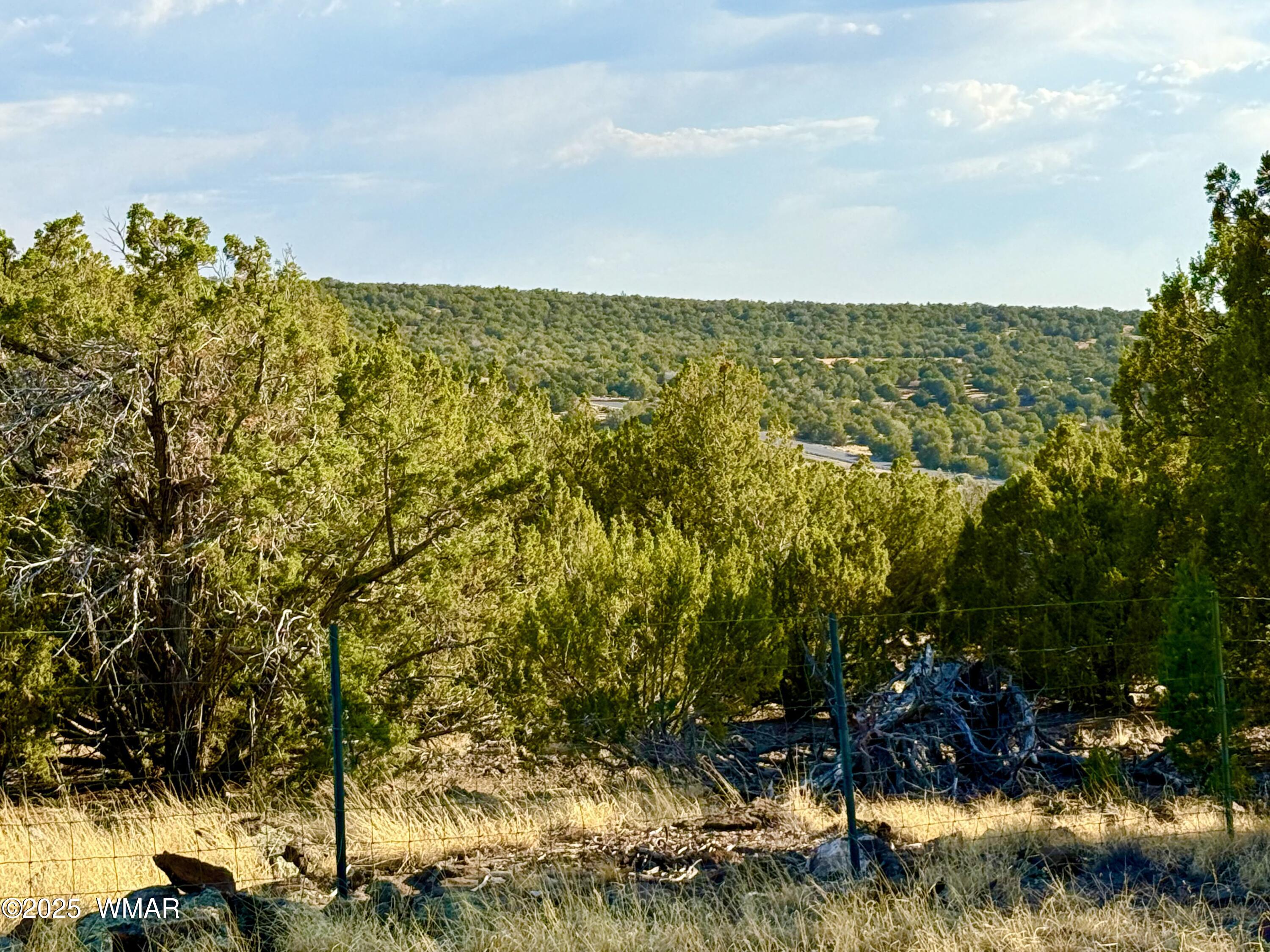 37 Co Road Concho, AZ 85924 - Photo 28 of 41 IMG_1036 (1)