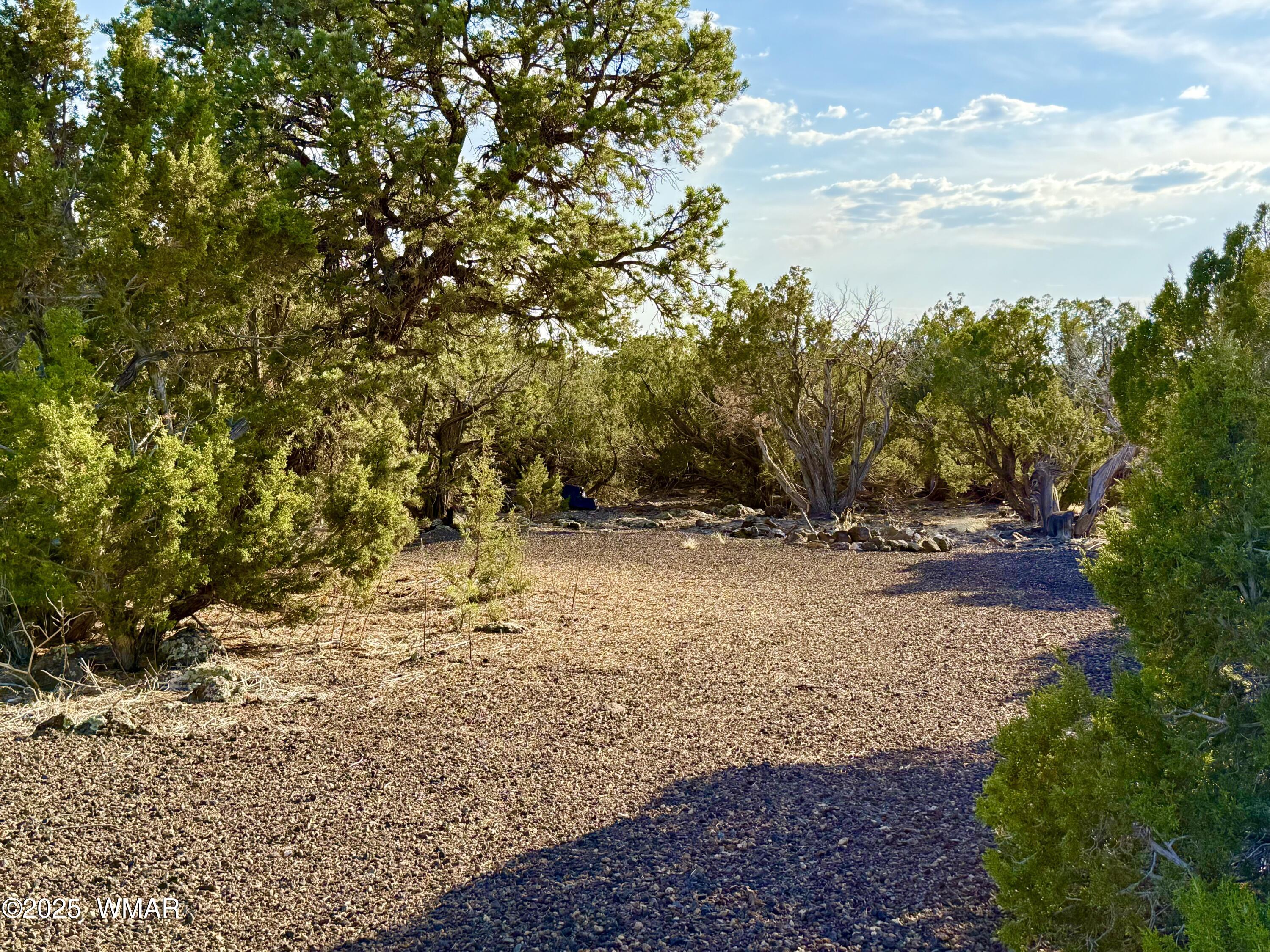 37 Co Road Concho, AZ 85924 - Photo 29 of 41 IMG_1046