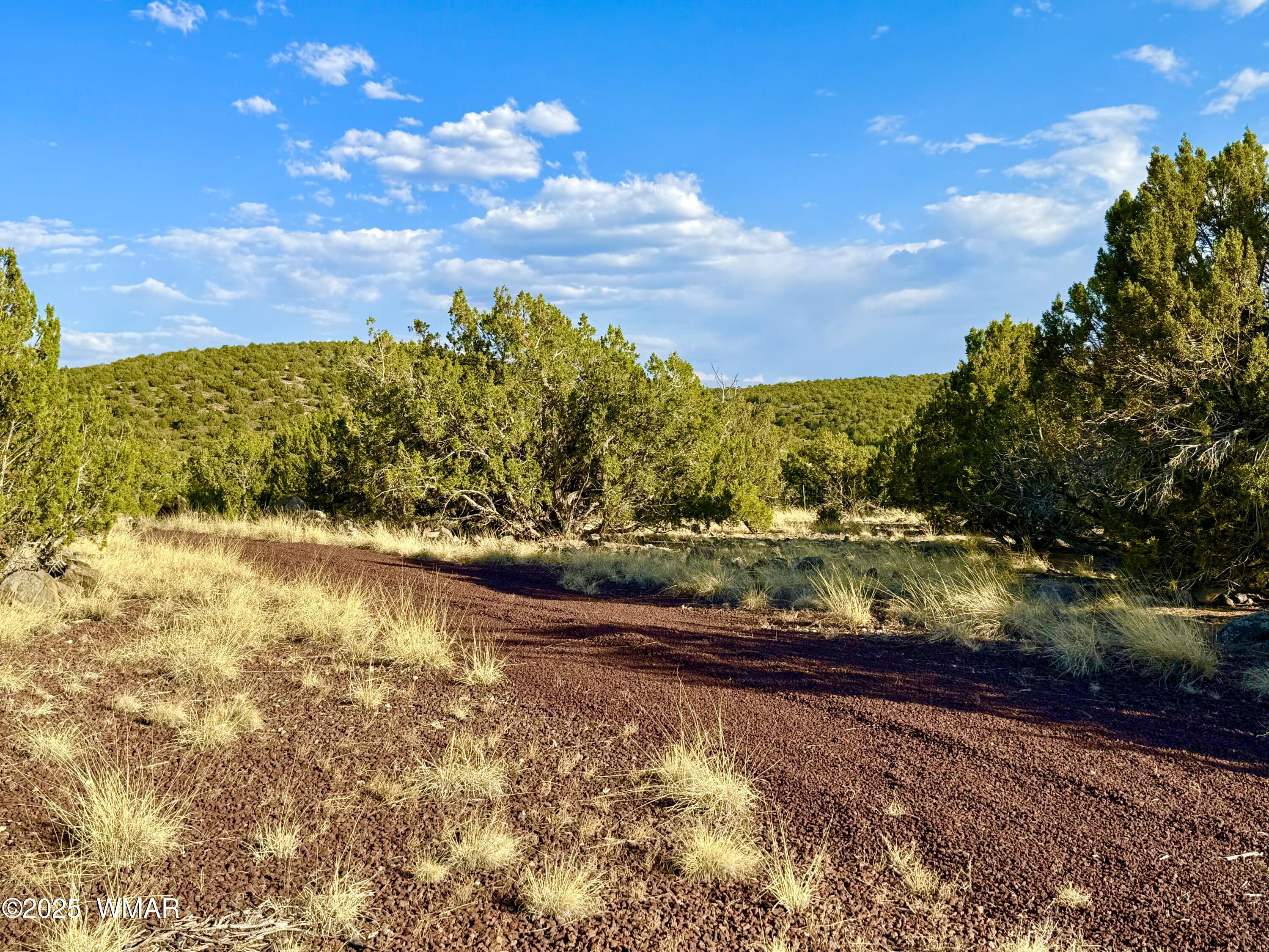 37 Co Road Concho, AZ 85924 - Photo 30 of 41 IMG_1059