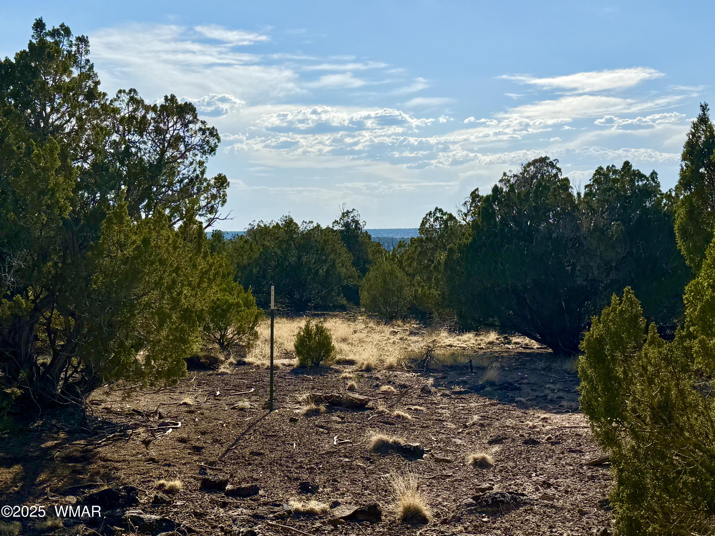 37 Co Road Concho, AZ 85924 - Photo 3 of 41 IMG_0987