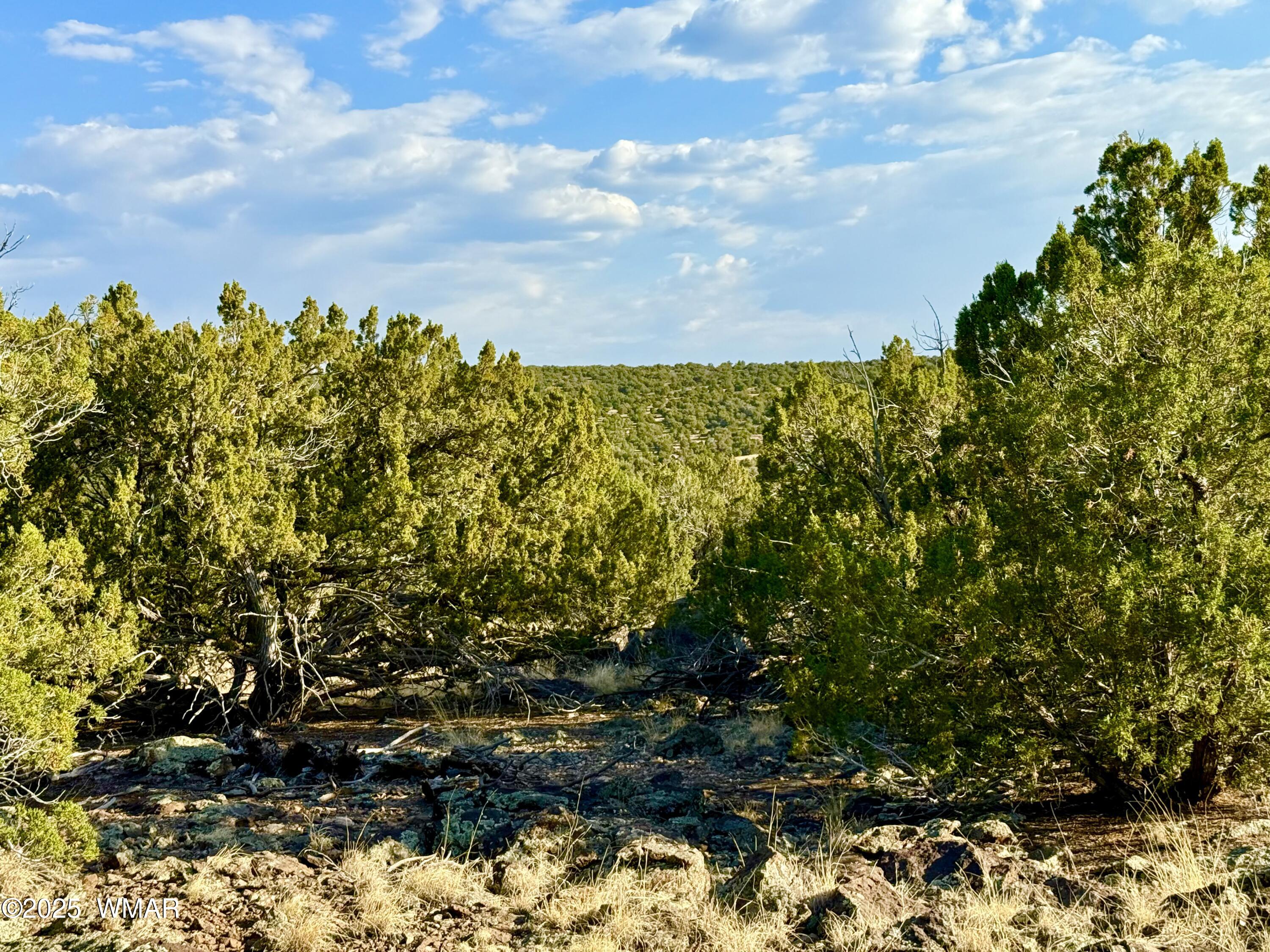 37 Co Road Concho, AZ 85924 - Photo 31 of 41 IMG_1064