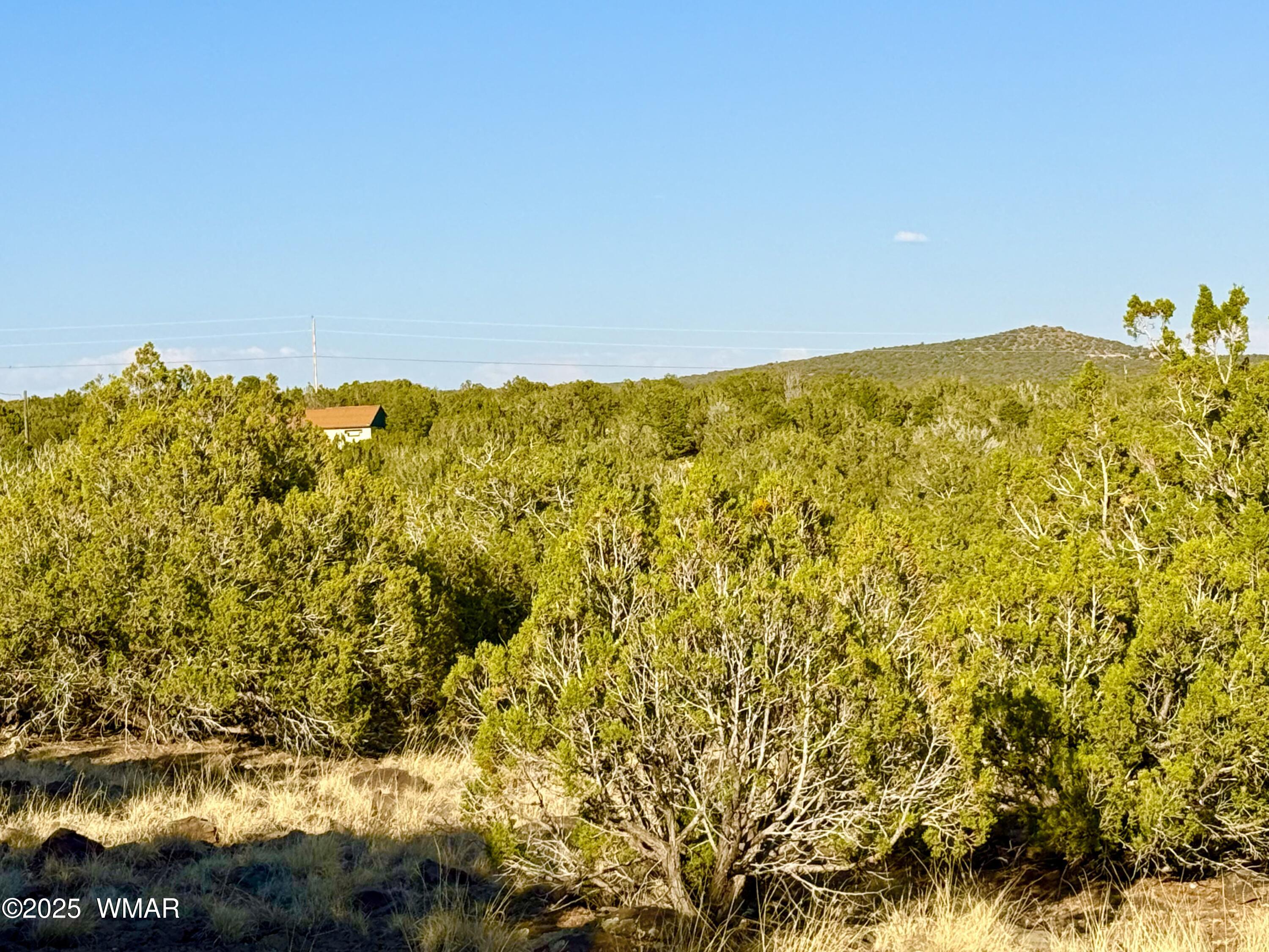 37 Co Road Concho, AZ 85924 - Photo 32 of 41 IMG_1068