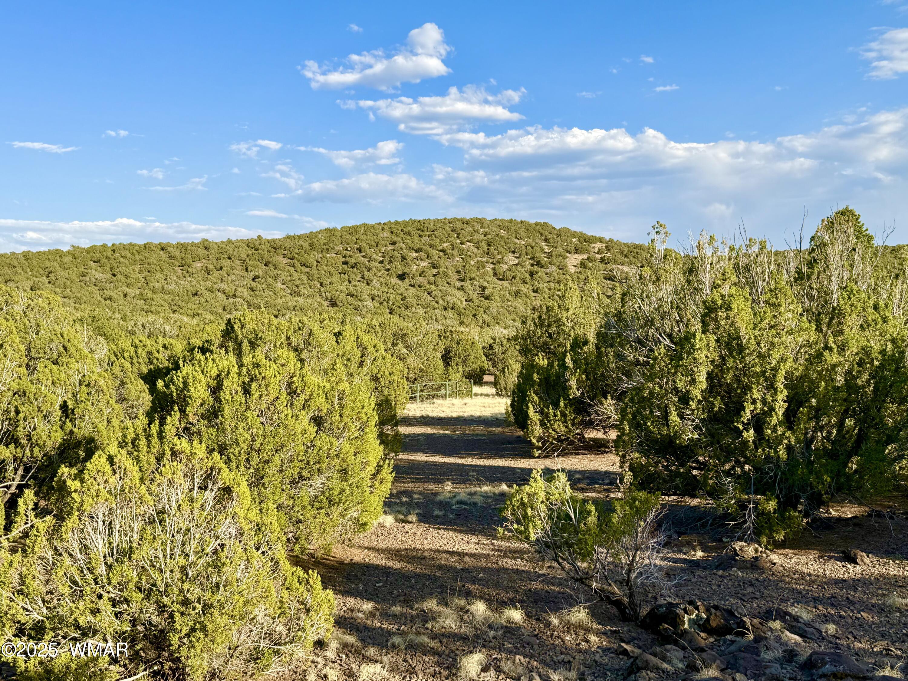 37 Co Road Concho, AZ 85924 - Photo 33 of 41 IMG_1073