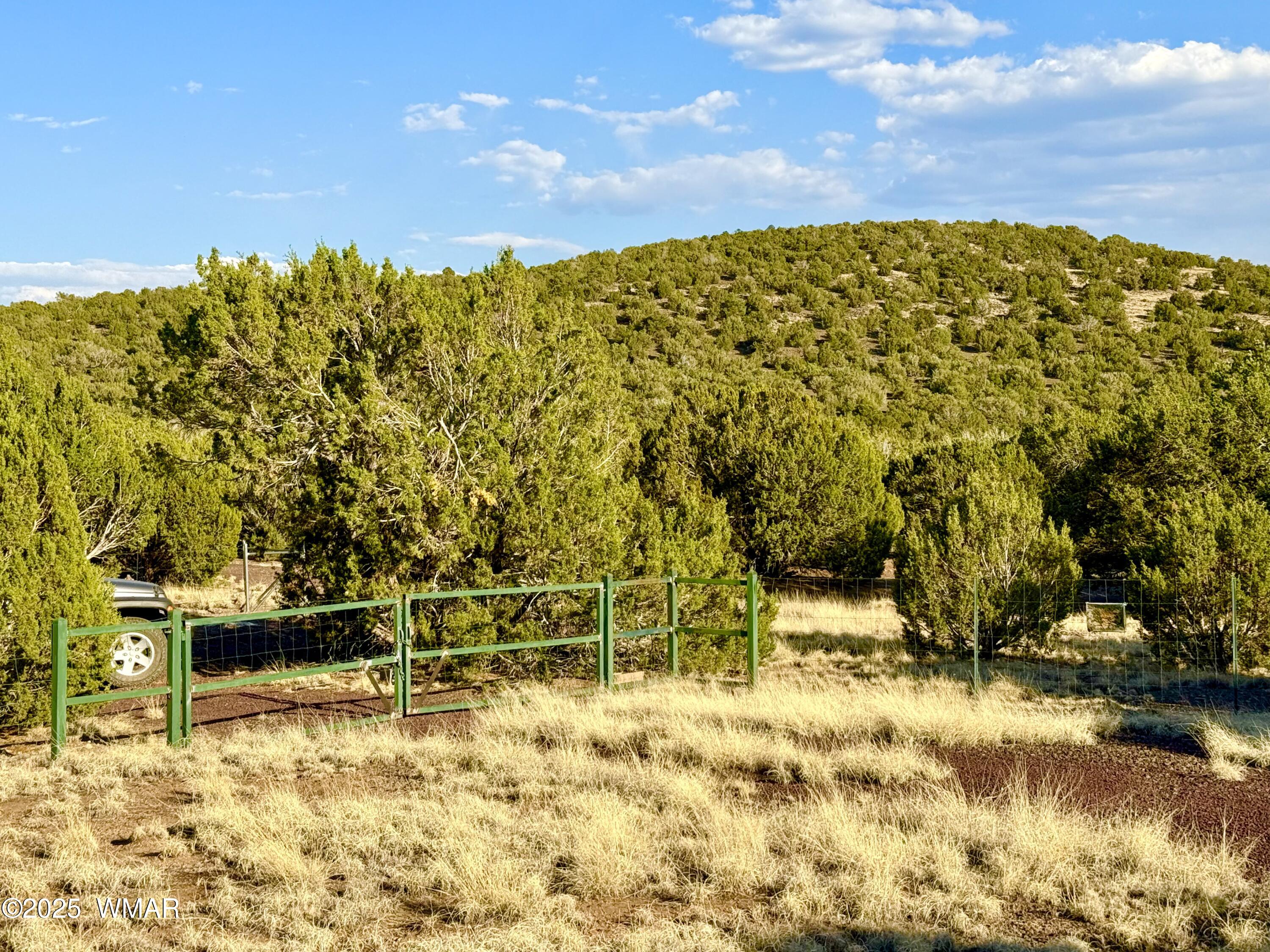 37 Co Road Concho, AZ 85924 - Photo 34 of 41 IMG_1078
