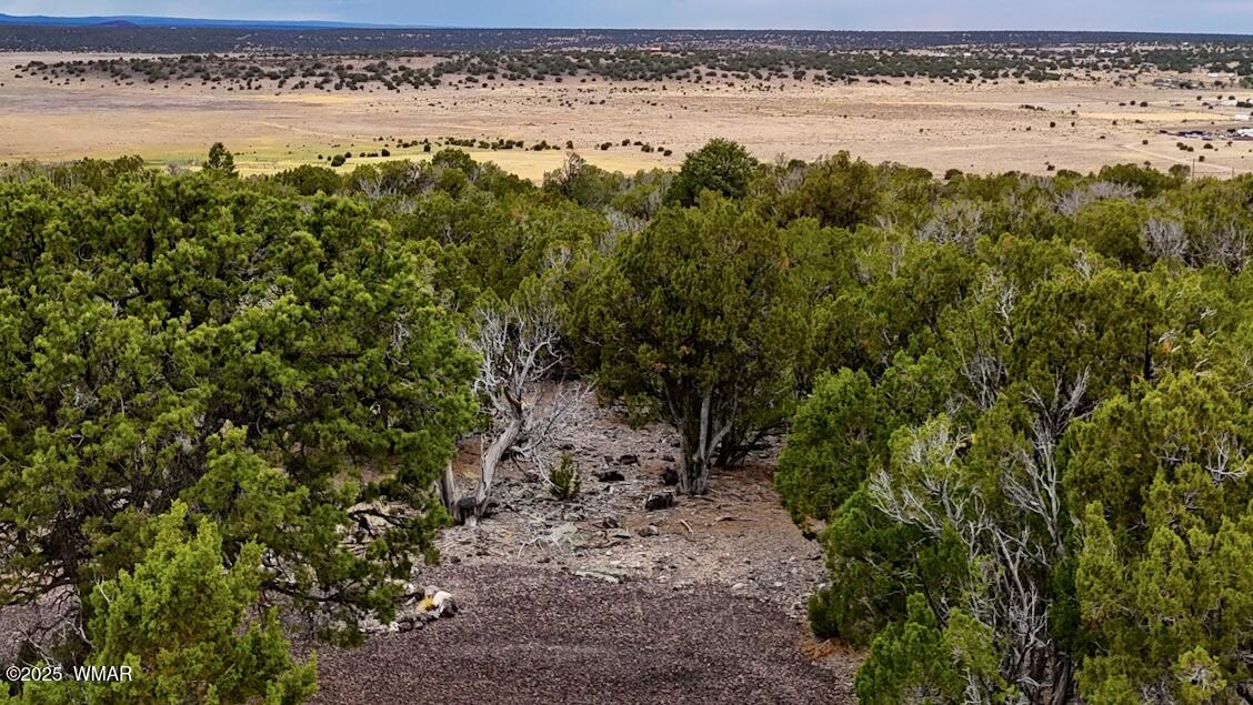 37 Co Road Concho, AZ 85924 - Photo 37 of 41 dji_fly_20250719_145410_0360_17529888682
