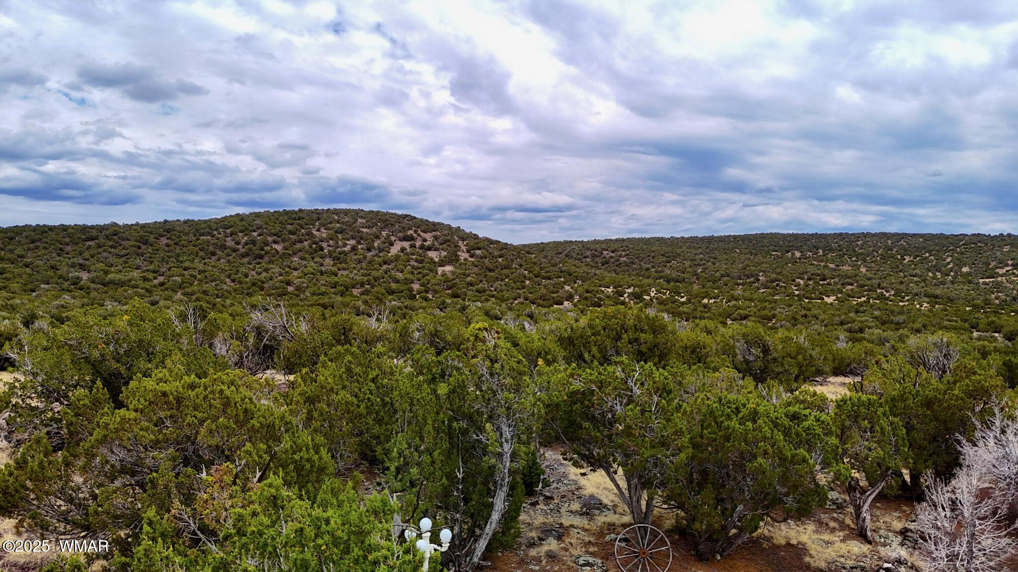 37 Co Road Concho, AZ 85924 - Photo 39 of 41 dji_fly_20250719_145418_0362_17529888677