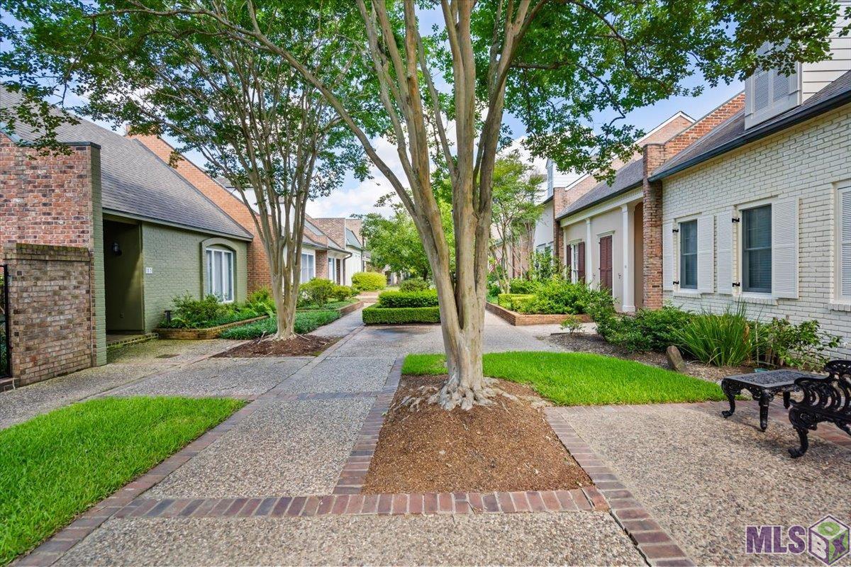 14 Jamestowne Court Baton Rouge, LA 70809 - Photo 4 of 23 Peaceful Surroundings