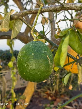 $190,000 | 10150 Belle Rive Boulevard, Unit 2205, Jacksonville, FL 32256