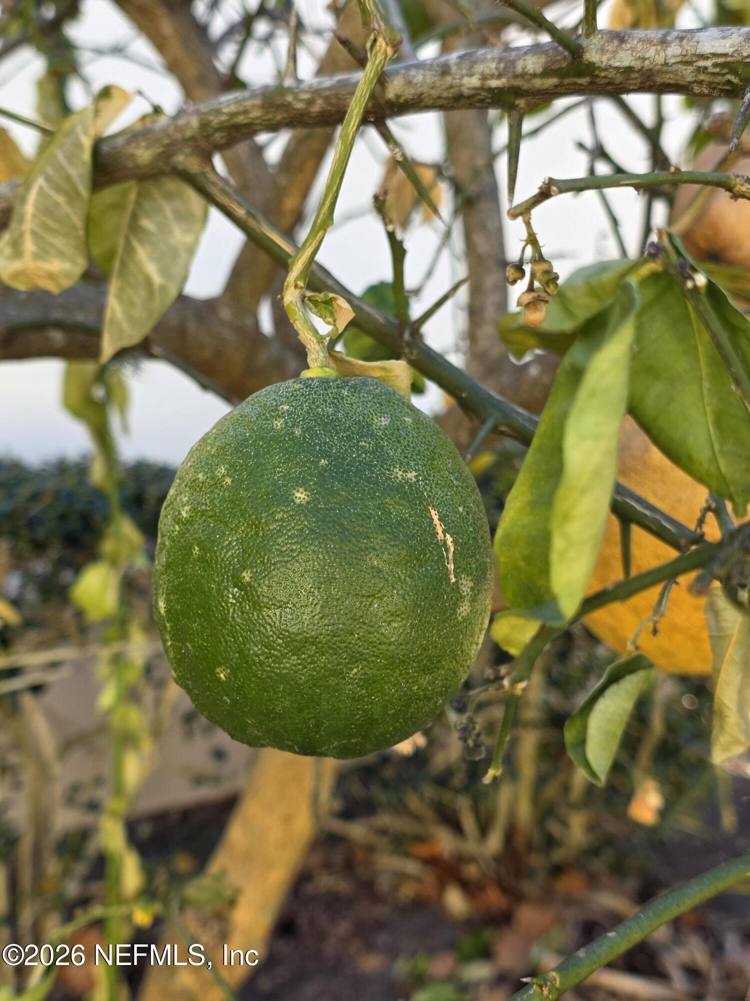 10150 Belle Rive Boulevard, Unit 2205 Jacksonville, FL 32256 - Photo 59 of 62 20260207_162021