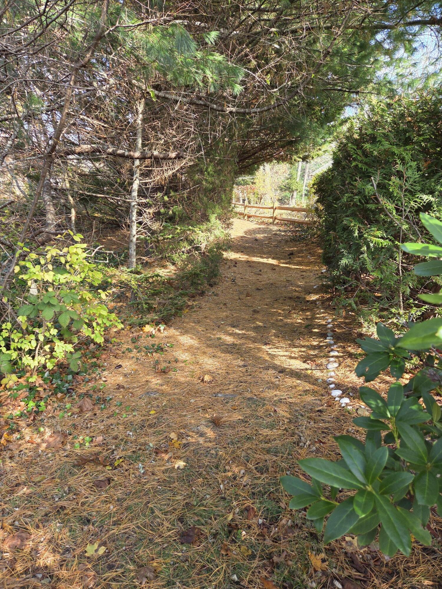 1061 State Highway, Unit 4 Eastham, MA 02642 - Photo 20 of 27 a view of a yard with a tree