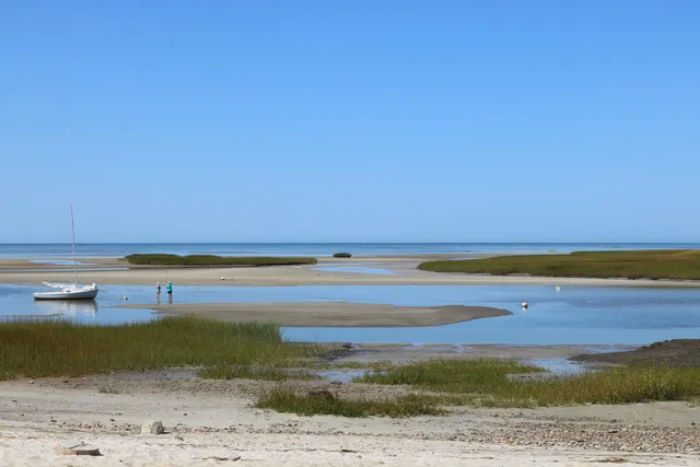 a front view of a house with yard
