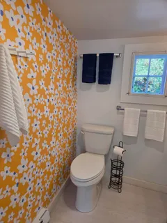 a white toilet sitting next to a shower curtain