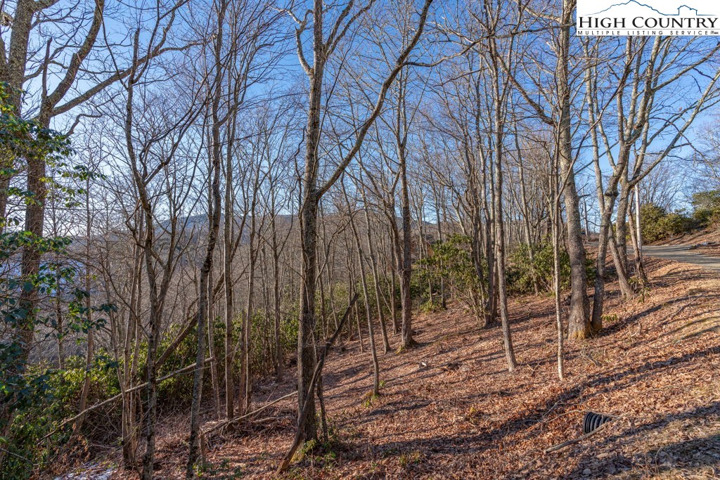 2-lots Snowridge Road Banner Elk, NC 28604 - Photo 12 of 29 Gallery Image 12