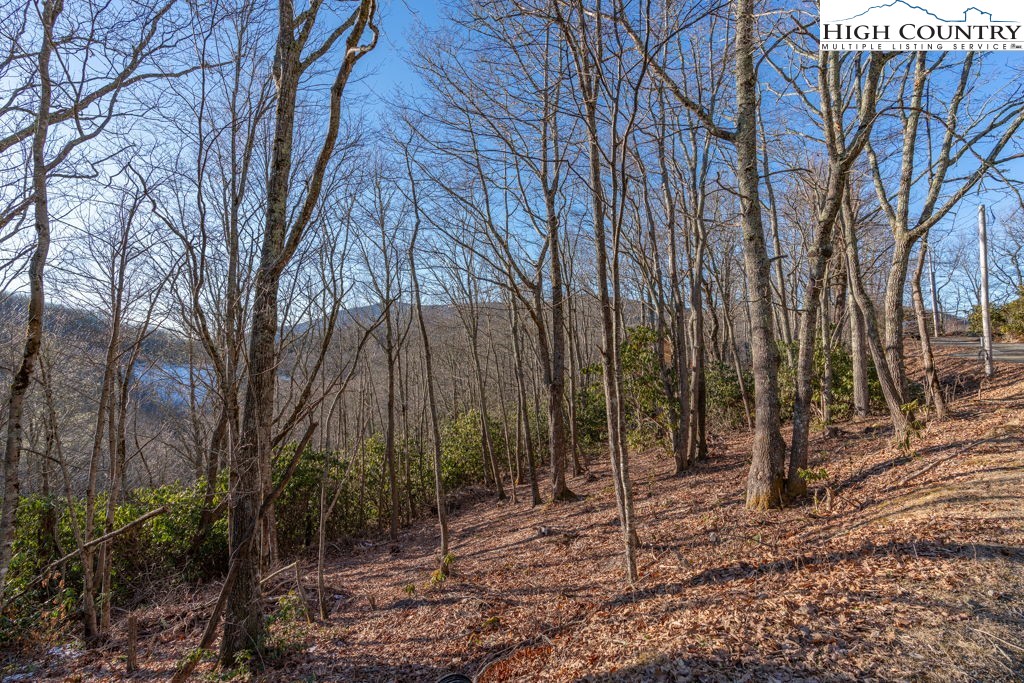 2-lots Snowridge Road Banner Elk, NC 28604 - Photo 2 of 29 Gallery Image 2