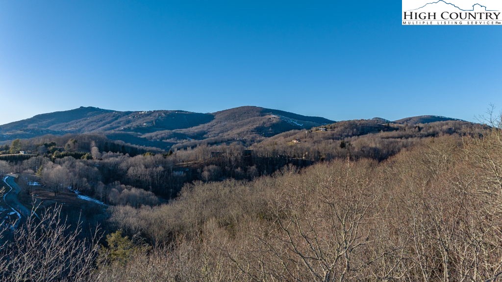 2-lots Snowridge Road Banner Elk, NC 28604 - Photo 6 of 29 Gallery Image 6