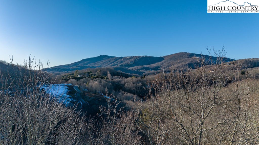 2-lots Snowridge Road Banner Elk, NC 28604 - Photo 8 of 29 Gallery Image 8