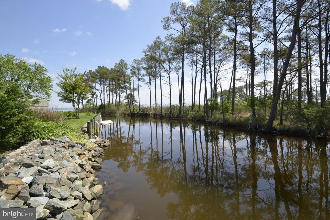 12648 Balte Road Ocean City, MD 21842 - Photo 10 of 54 Gallery Image 10