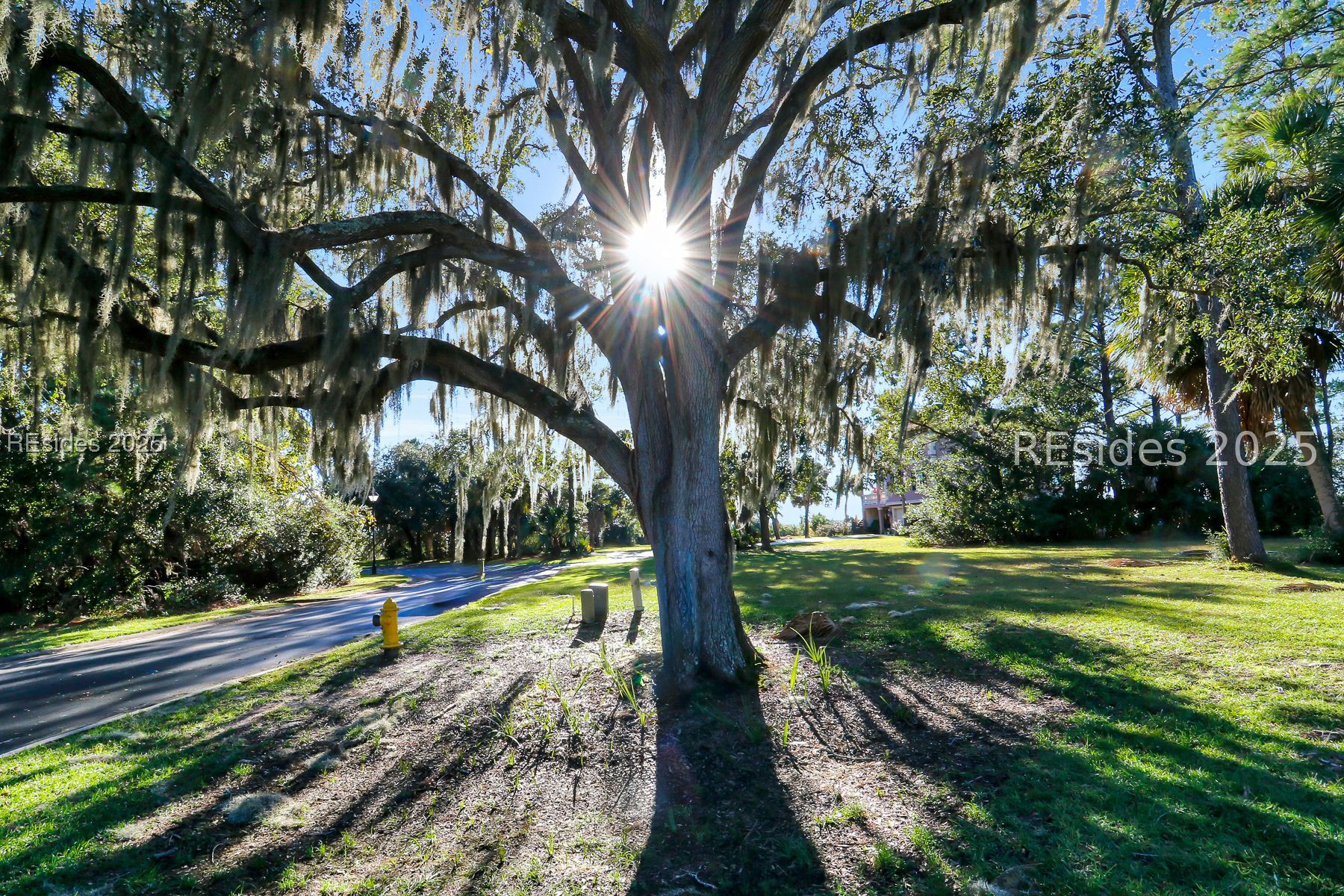 55 Shearwater Drive Hilton Head Island, SC 29926 - Photo 8 of 18