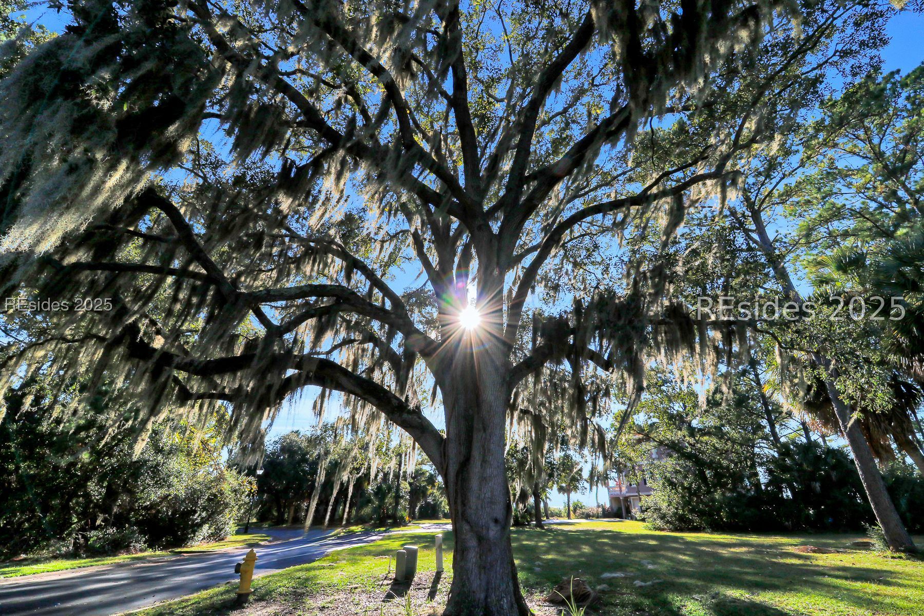 55 Shearwater Drive Hilton Head Island, SC 29926 - Photo 9 of 18