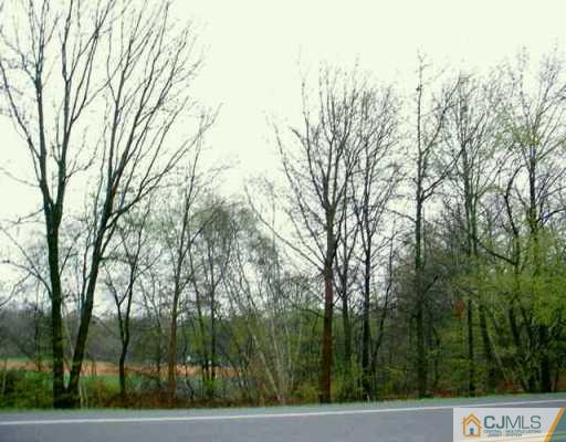 0 Adelphia-Farmingdale Road Freehold, NJ 07728 - Photo 1 of 1 Gallery Image 1