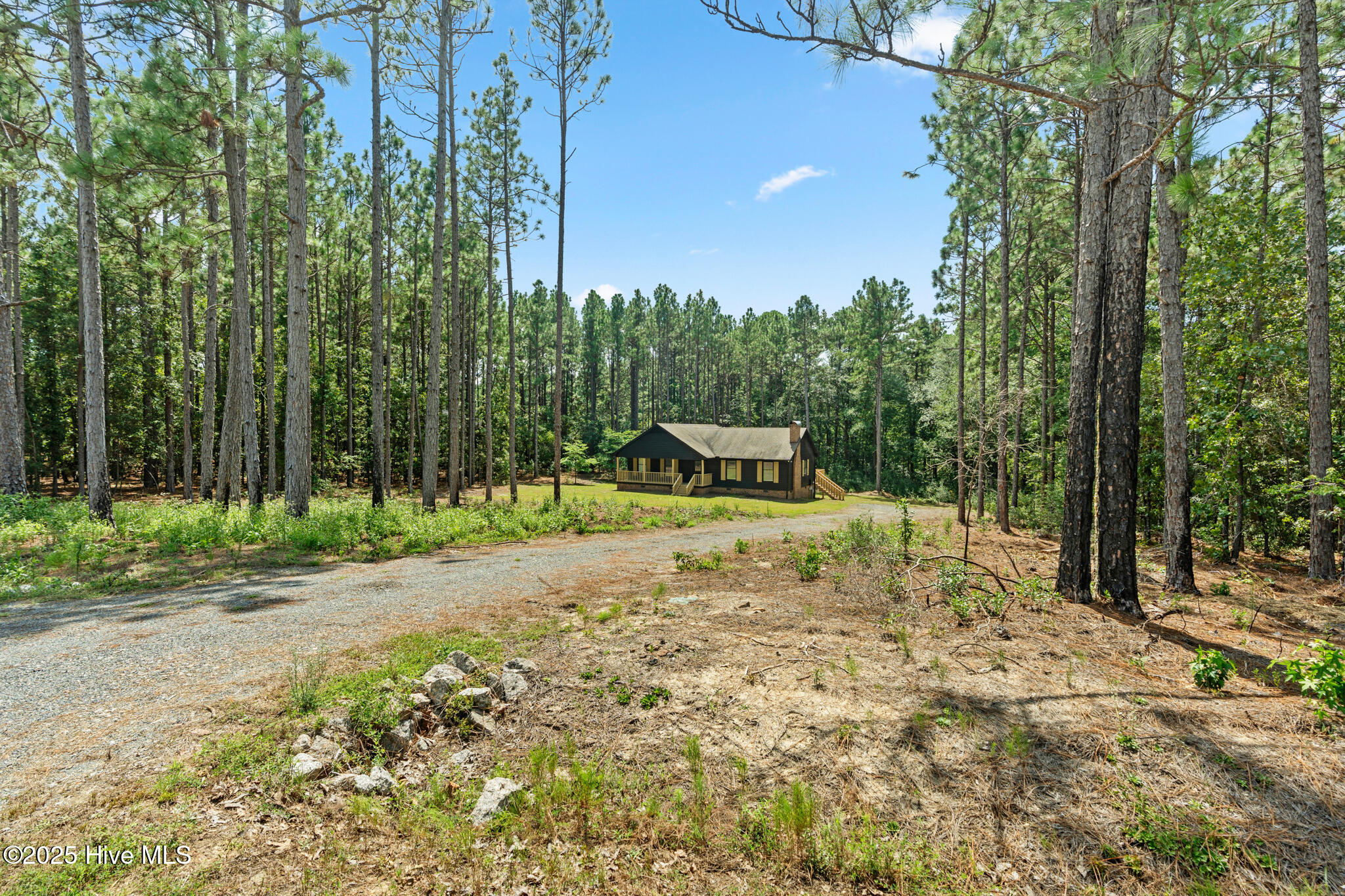 160 East V Hogan Drive Rockingham, NC 28379 - Photo 9 of 31 A7401626