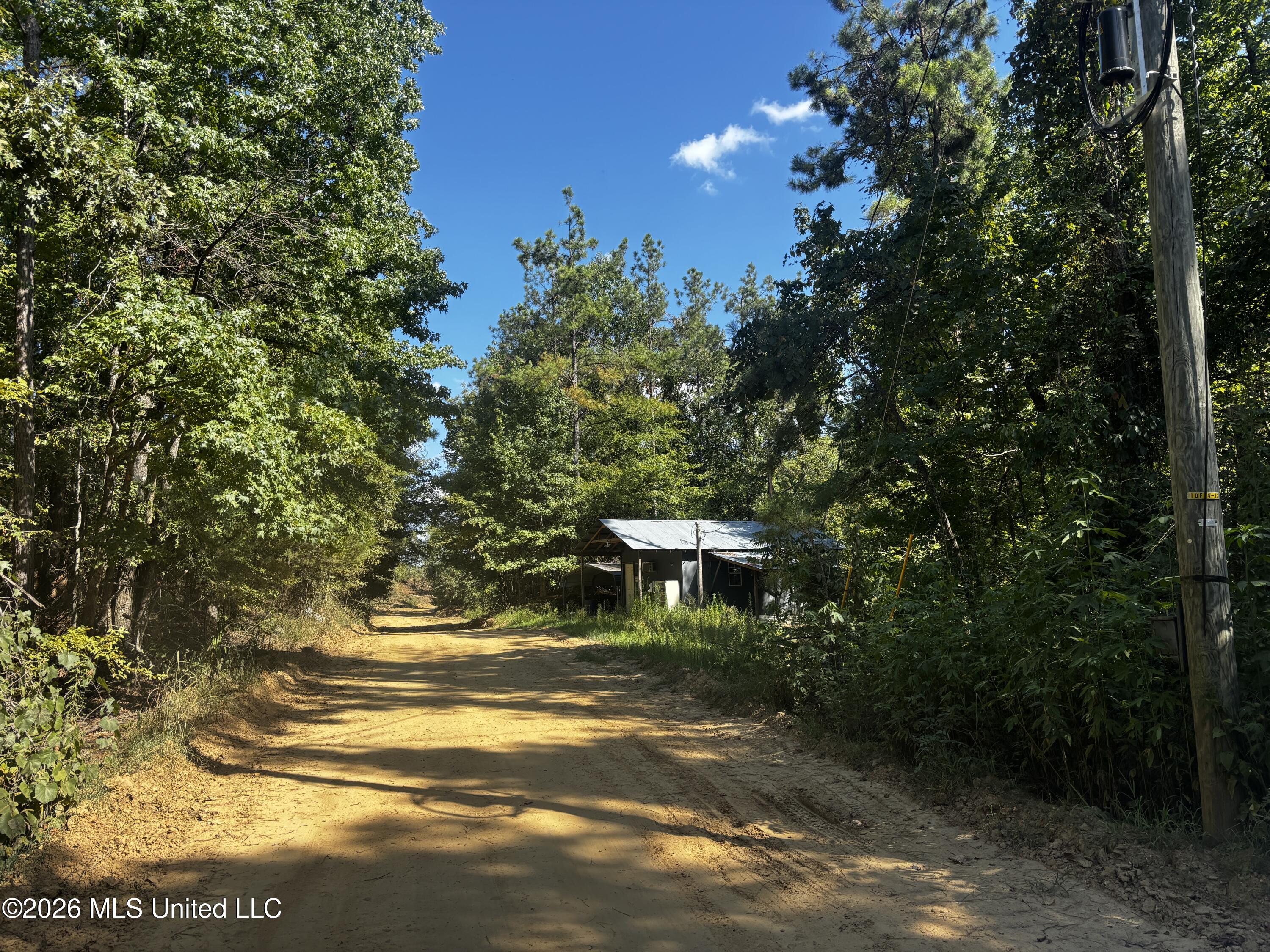 Shook Road Cascilla, MS 38920 - Photo 5 of 18 5