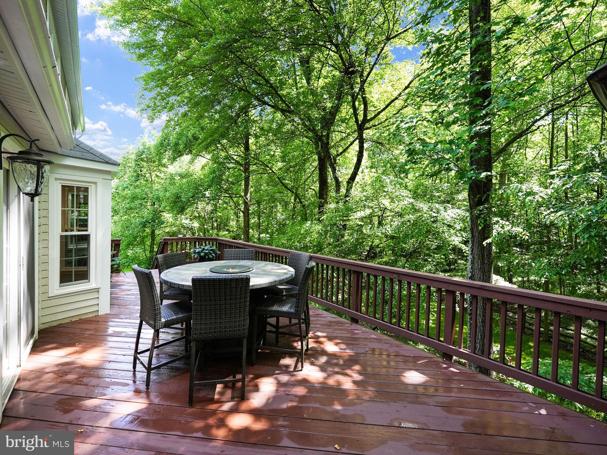 11920 Fawn Ridge Lane Reston, VA 20194 - Photo 32 of 90 Back deck