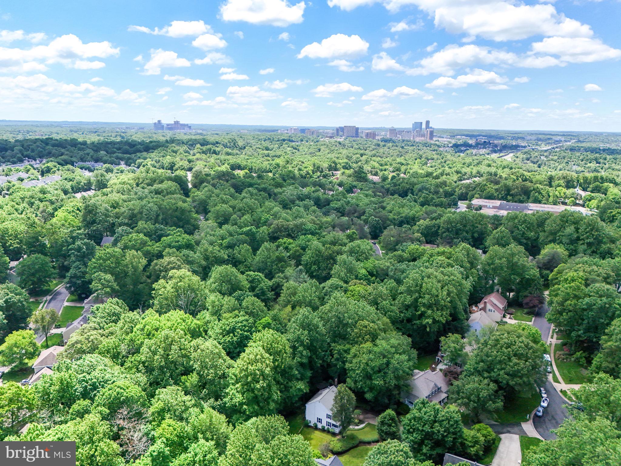 11920 Fawn Ridge Lane Reston, VA 20194 - Photo 63 of 90 Gallery Image 63