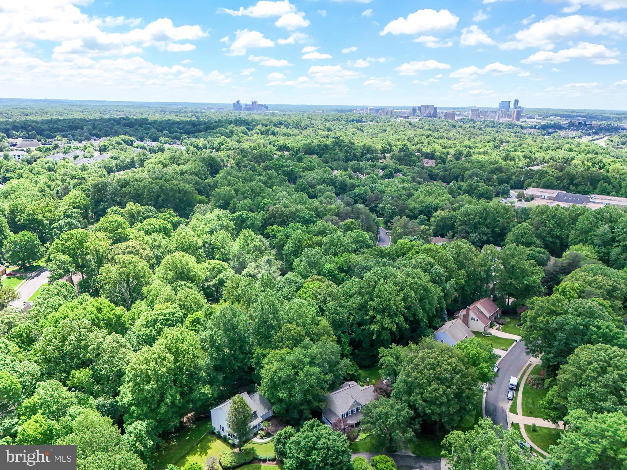 11920 Fawn Ridge Lane Reston, VA 20194 - Photo 64 of 90 Gallery Image 64