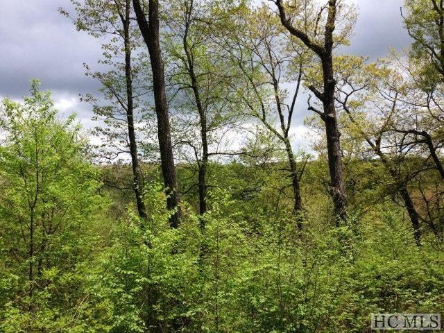 45-48 Satulah Ridge Road Highlands, NC 28741 - Photo 8 of 17 Gallery Image 8