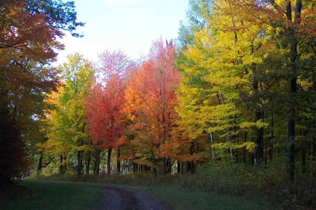 $90,000 | Xxx North Xxx N Basswood Drive, Webster, WI 54893