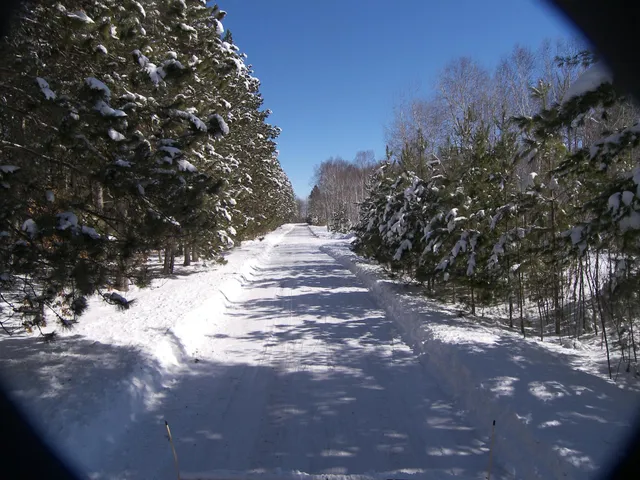 $90,000 | Xxx North Xxx N Basswood Drive, Webster, WI 54893