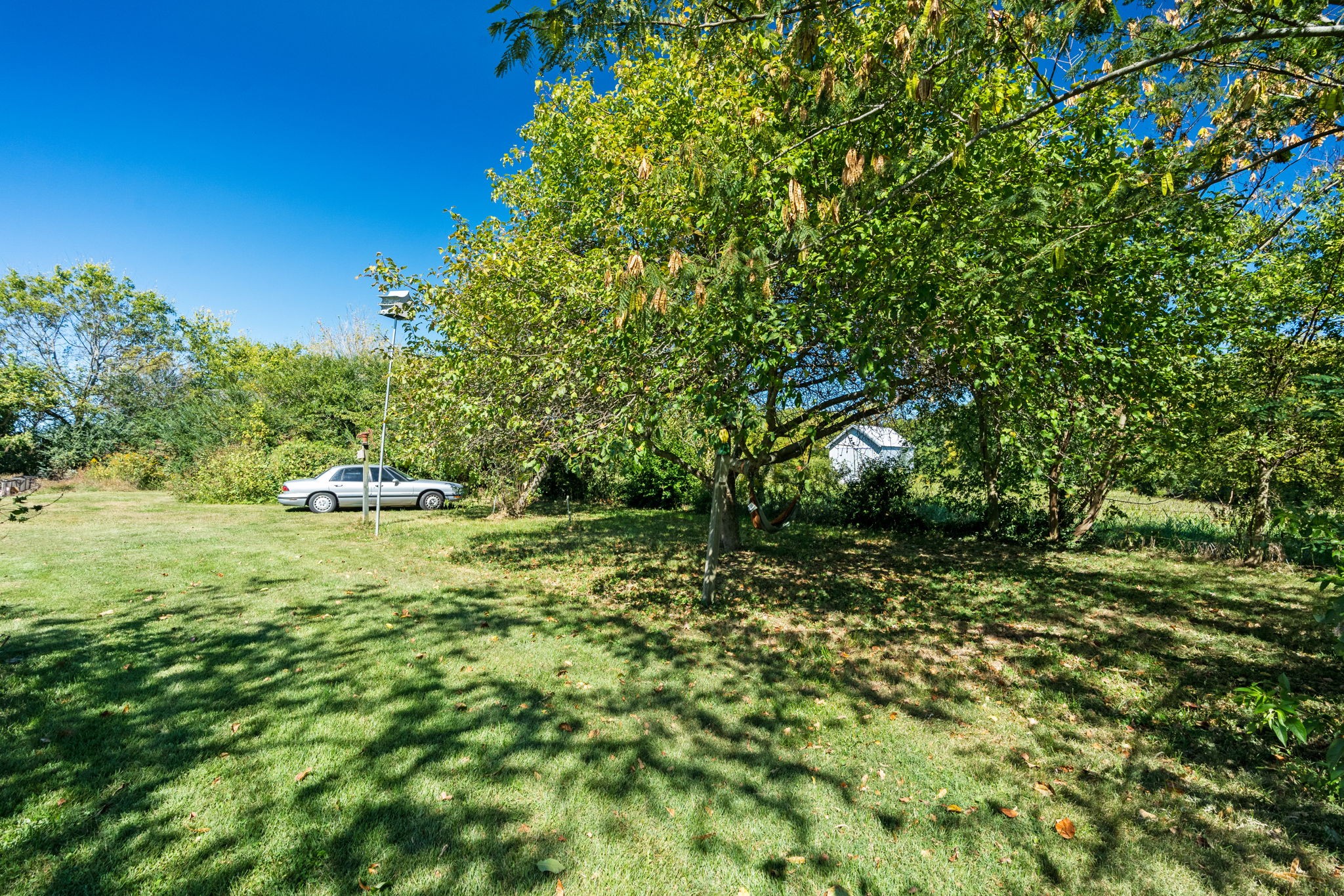 260 Ragland Road Cottontown, TN 37048 - Photo 15 of 36 a view of a trees in a yard
