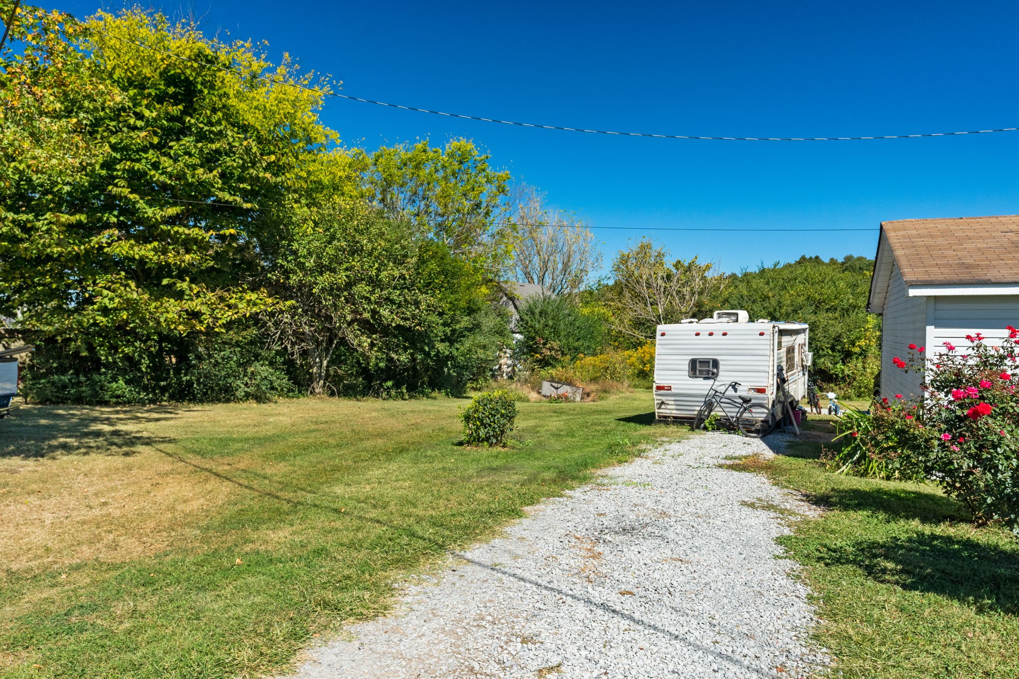 260 Ragland Road Cottontown, TN 37048 - Photo 7 of 36 a view of a big yard with potted plants and large tree