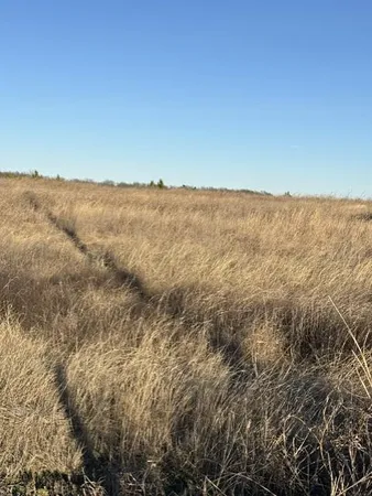 $285,000 | 9999 Cr-699, Farmersville, TX 75442