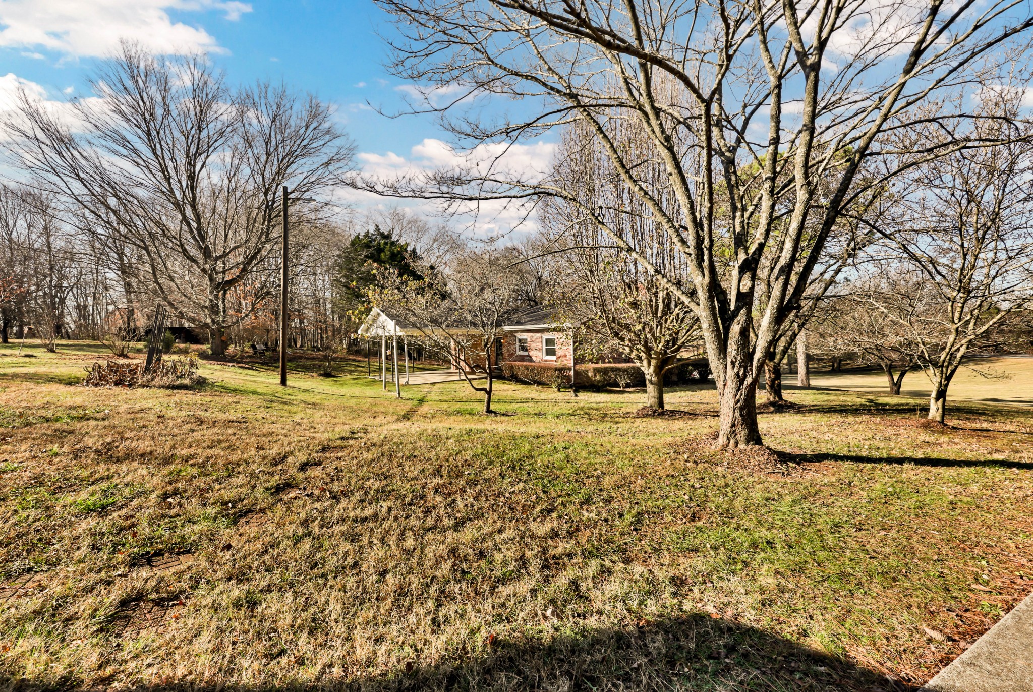 780 Rossview Road Clarksville, TN 37043 - Photo 36 of 40 a view of road with trees