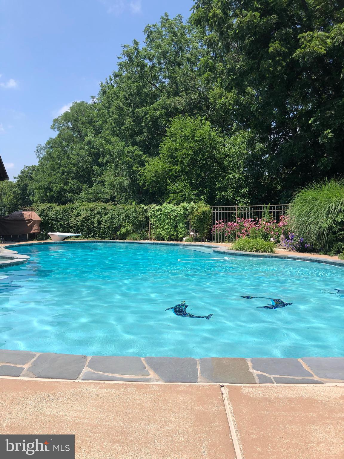 123 Glebe Lane Lancaster, PA 17602 - Photo 51 of 57 a view of yard with swimming pool and green space