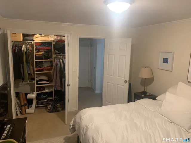 a bedroom with a bed and a closet