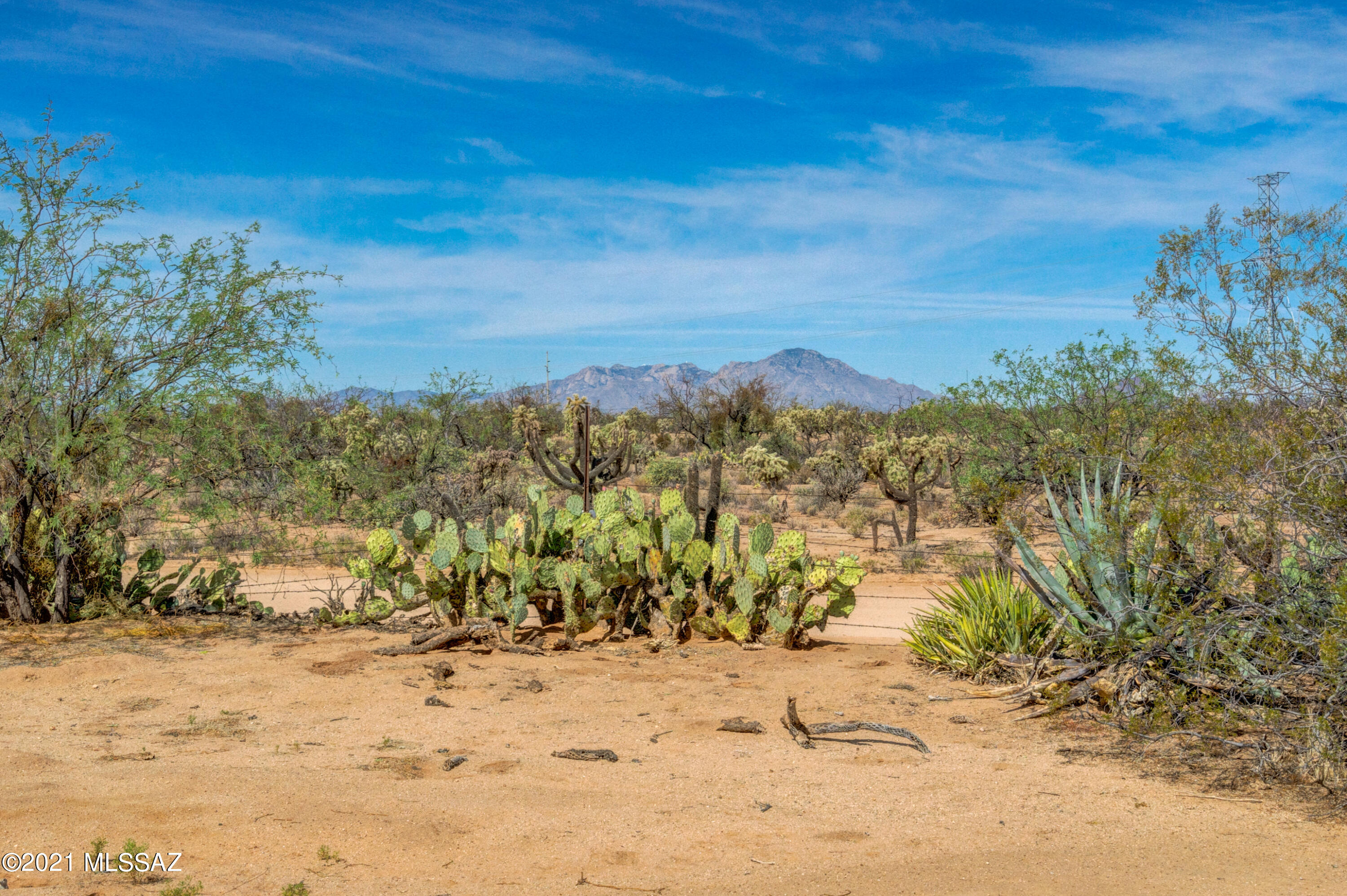 13761 Cortel Road Tucson, AZ 85736 - Photo 47 of 50 Gallery Image 47