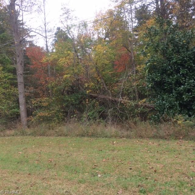 0 Greenforest Road Randleman, NC 27317 - Photo 3 of 5 Gallery Image 3