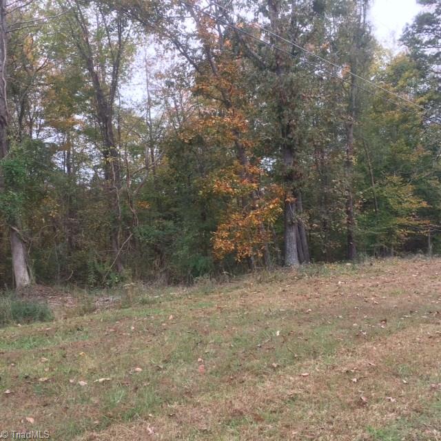 0 Greenforest Road Randleman, NC 27317 - Photo 4 of 5 Gallery Image 4