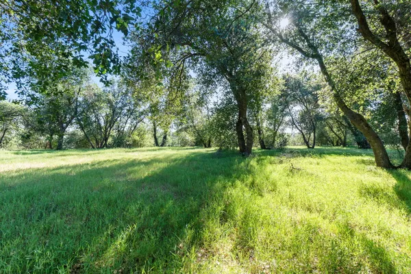 $479,900 | 17825 Spanish Canyon Lane, Anderson, CA 96007