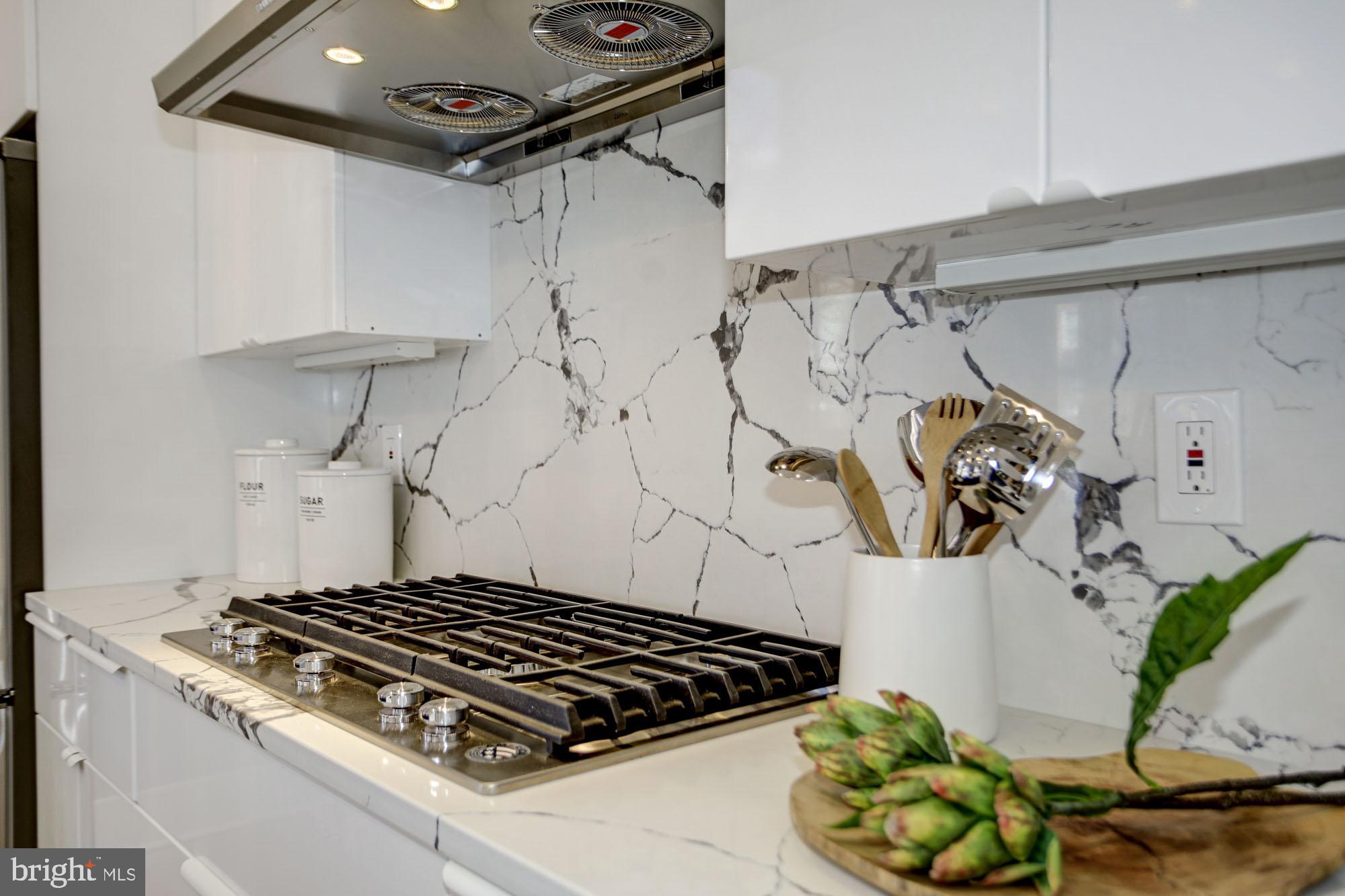 1001 C Street Southeast, Unit 1 Washington, DC 20003 - Photo 9 of 35