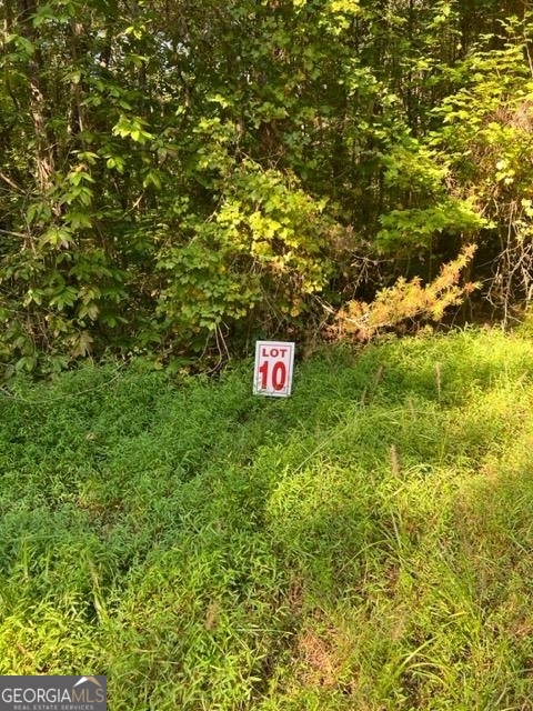 a sign that is sitting in front of a tree