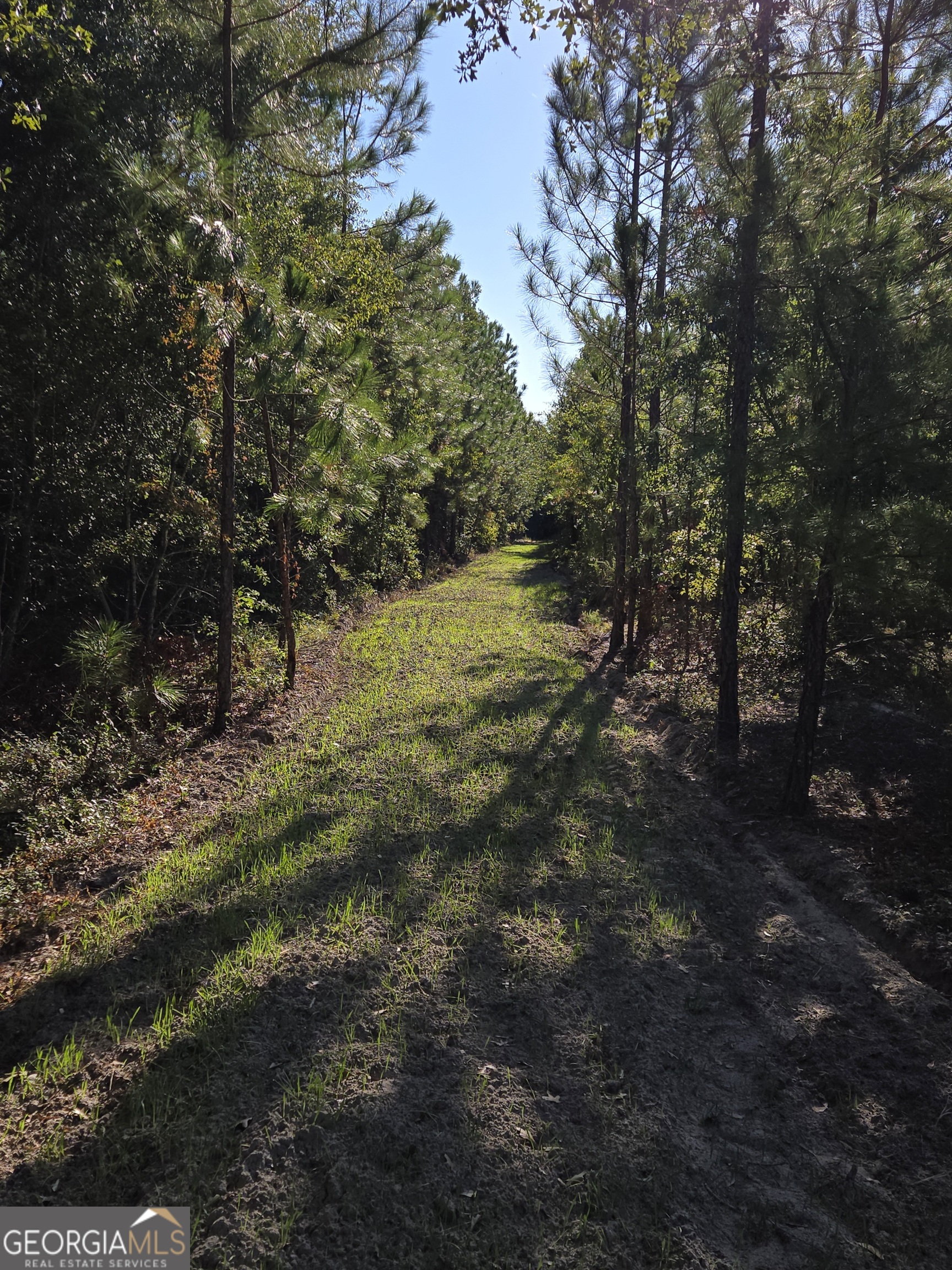 0 Alton Lawson Road Adrian, GA 31002 - Photo 3 of 11