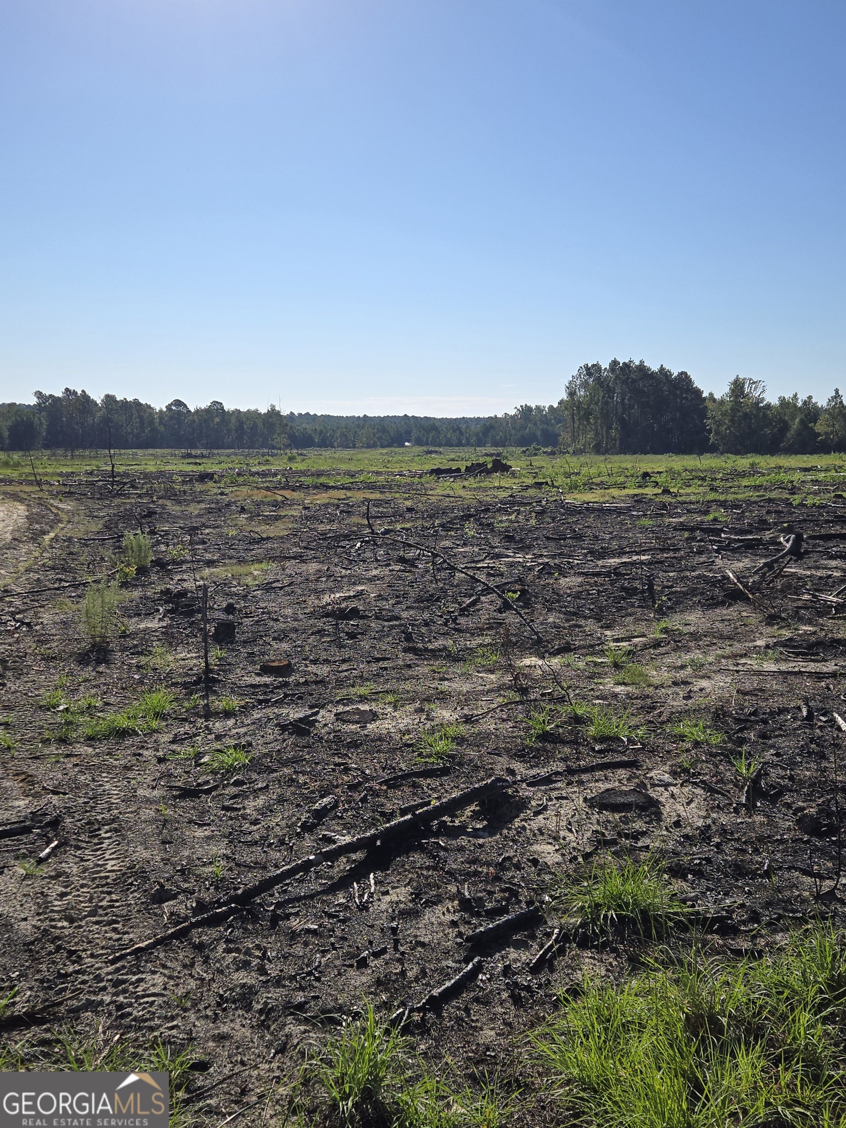 0 Alton Lawson Road Adrian, GA 31002 - Photo 6 of 11