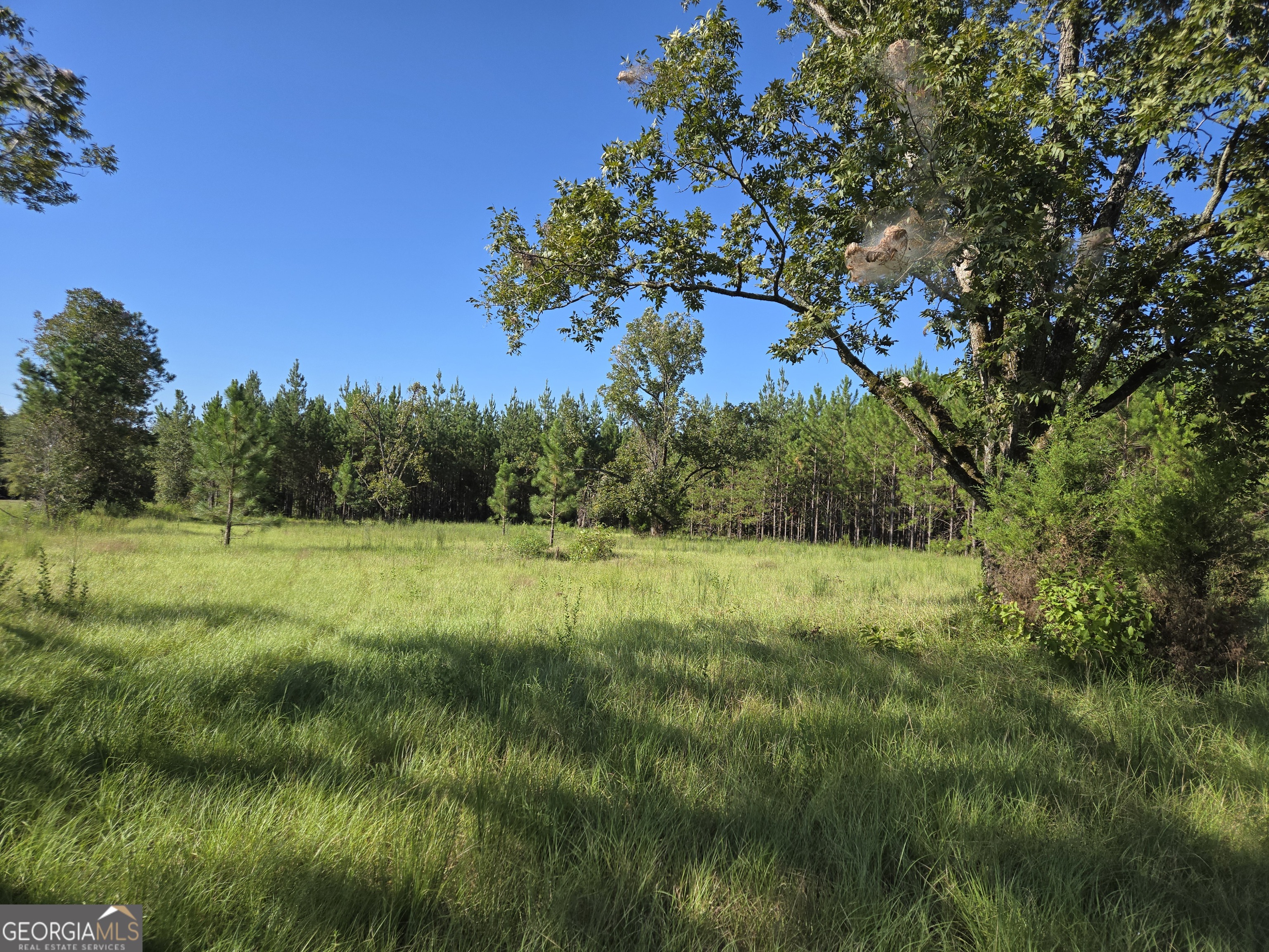 0 Alton Lawson Road Adrian, GA 31002 - Photo 10 of 11