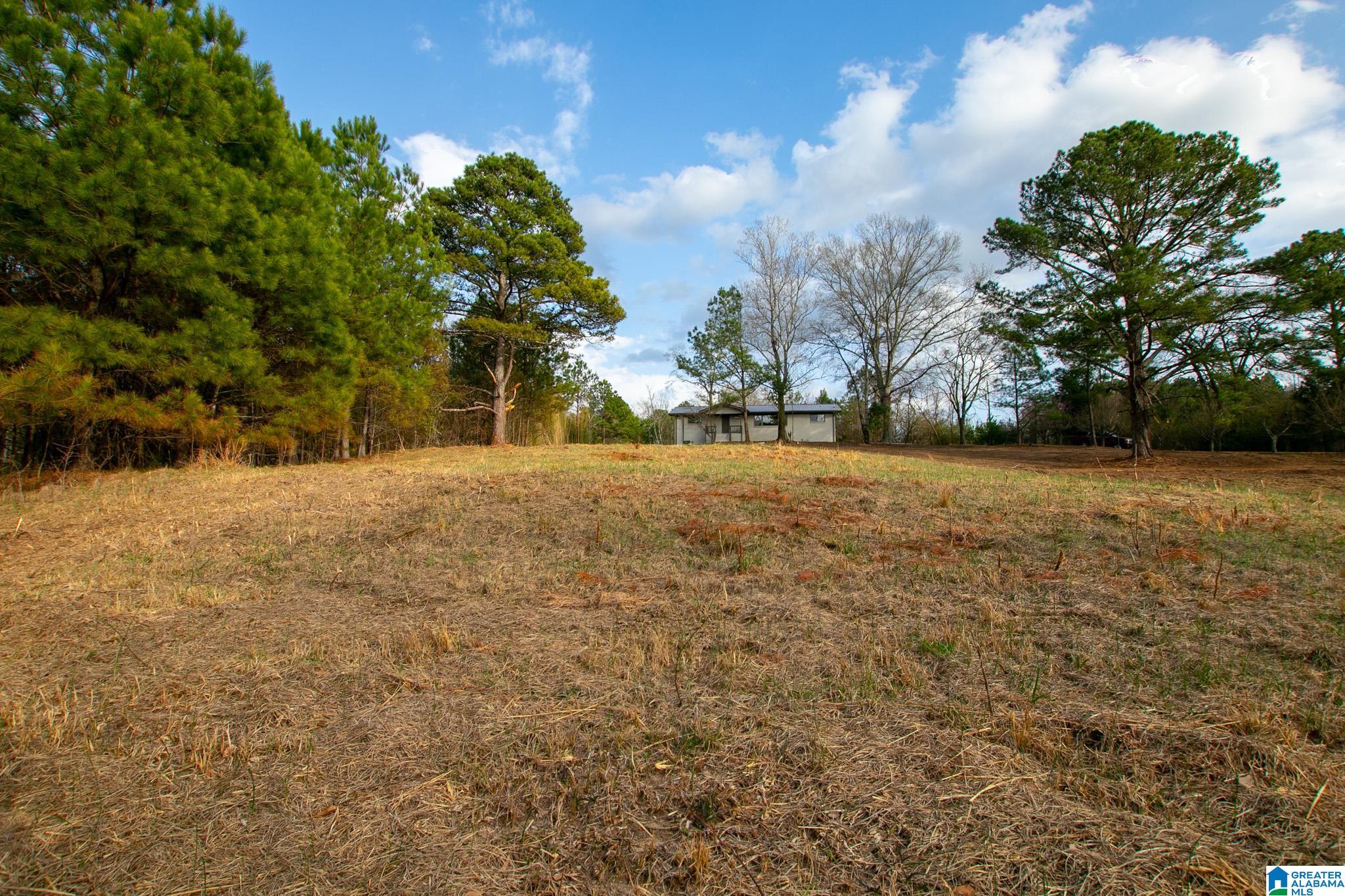 1171 Hollingsworth Road Cleveland, AL 35049 - Photo 51 of 59 Gallery Image 51