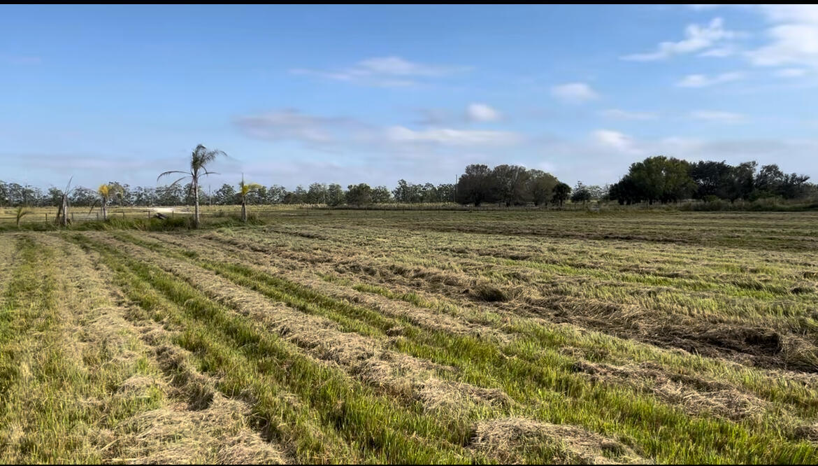 1503 South Header Canal Road Fort Pierce, FL 34945 - Photo 3 of 11 beyc688287bd456bc